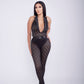 Sultry and Sophisticated Deep Plunge Mesh Jumpsuit