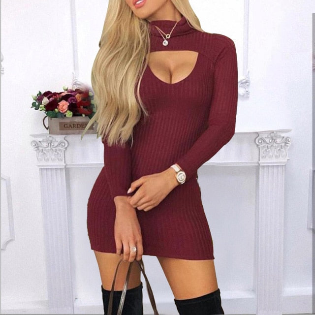 Long Sleeve High Neck Fitted Dress